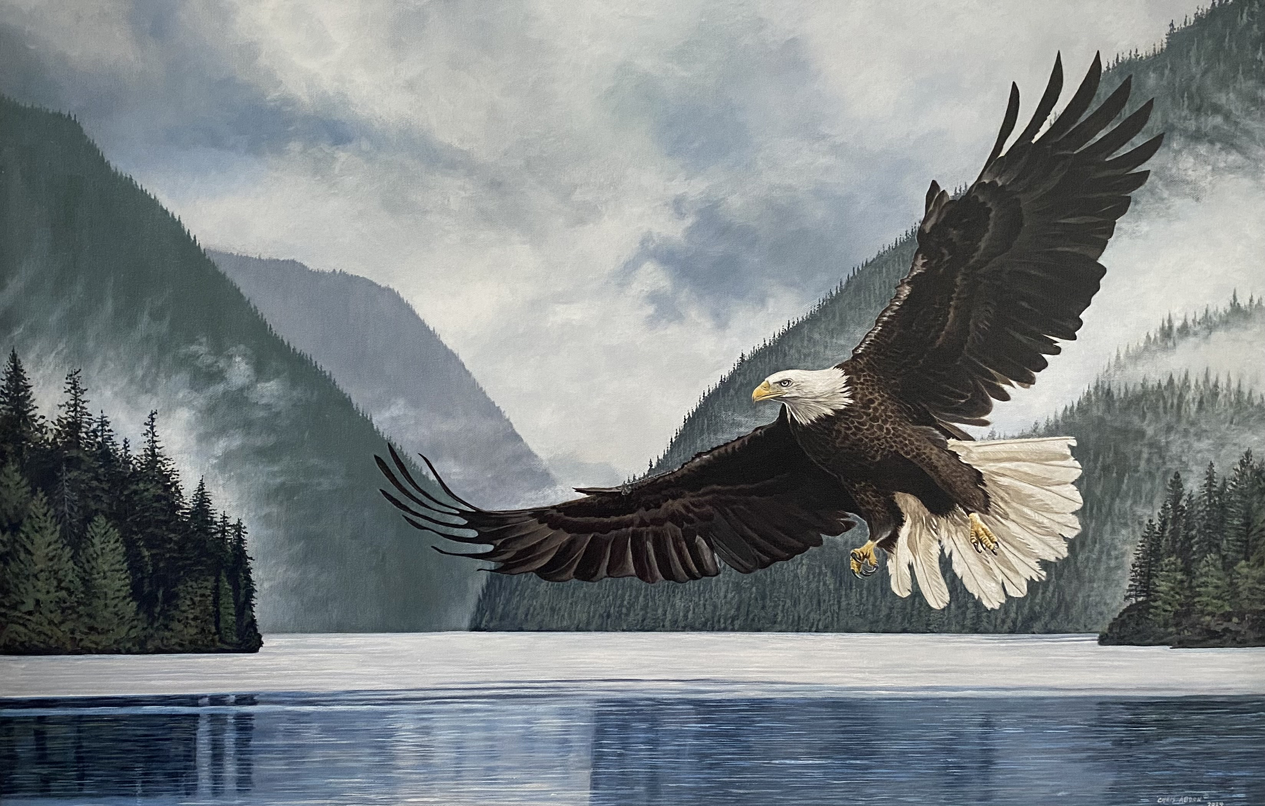 Bald Eagle Soaring — Oil on Canvas by Chris Abdon